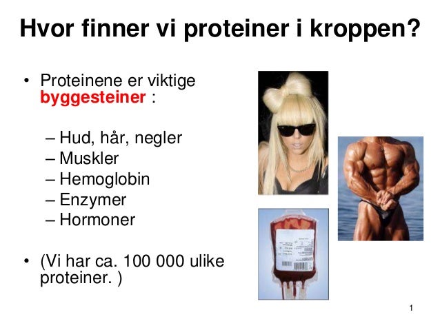 proteiner i kroppen